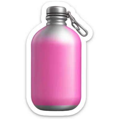 Pink metal water bottle, metal canteen sticker