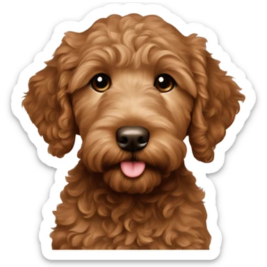 Reddisg brown goldendoodle puppy sticker