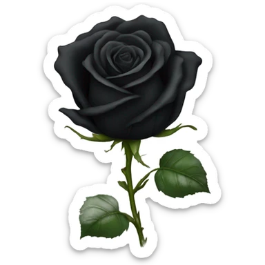 black rose sticker