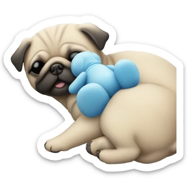 Baby pug sleeping next blue teddy bear  sticker