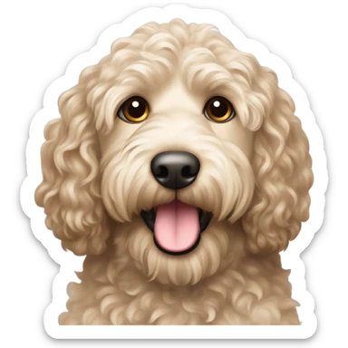 Labradoodle sticker