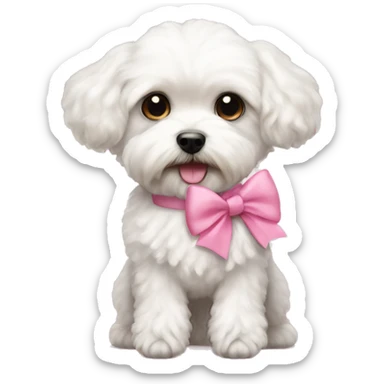 A White maltipoo with long legs pink bow and teddy bear cut  sticker