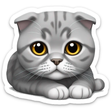 Gray Scottish fold laying sticker