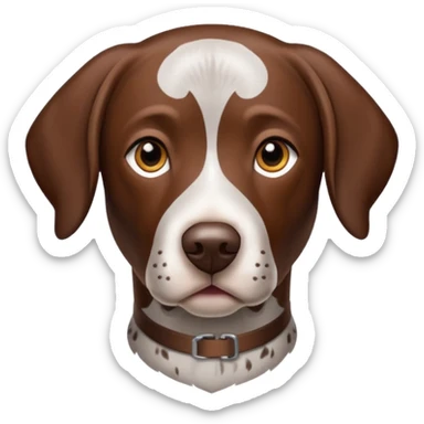 German shorthair pointer brown head sticker