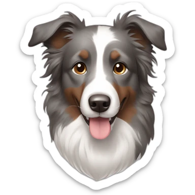Brown eyes and gray colour hair Border collie sticker