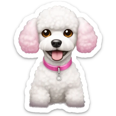 White toy poodle with pink nose sticker