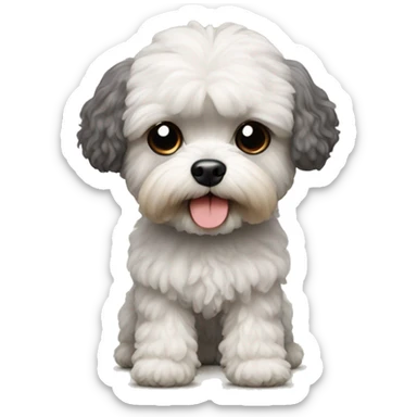 Shi-tzu Toy poodle sticker