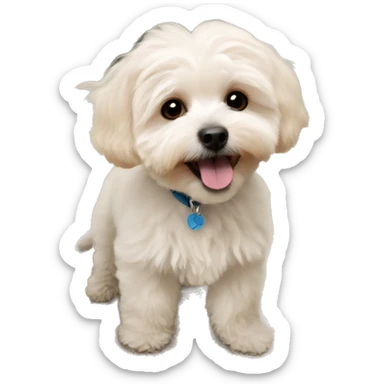 Maltipoo sticker