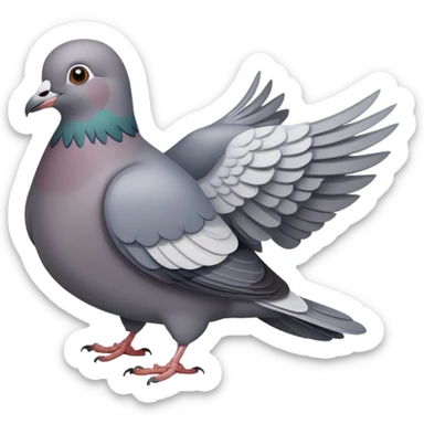 a pigeon bird, gray dove sticker