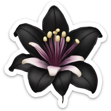 Black lily flower wine color sticker