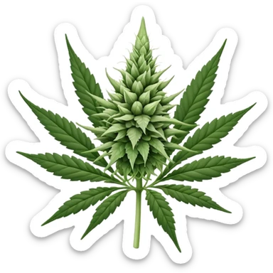 white color marijuana, no color sticker