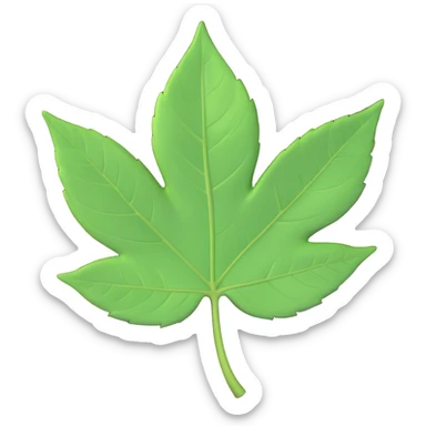 A single fresh green leaf lying on top of soil or ground. Natural lighting, soft shadows sticker