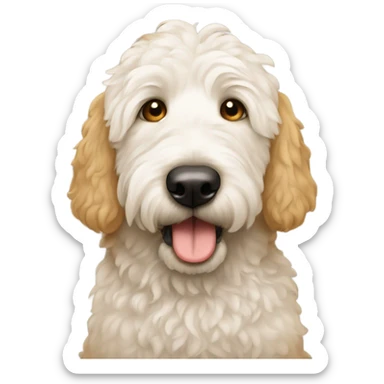Golden doodle with tears in his eyes sticker