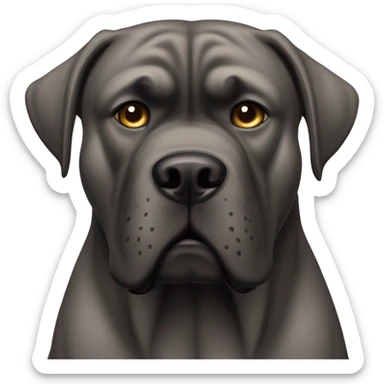 Cane corso sticker