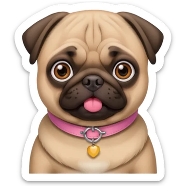 Dawn pug with pink collar sticker
