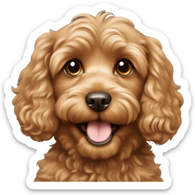 light brown cavoodle with a smile  sticker