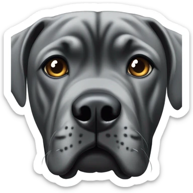 Cane corso with cropped ears sticker