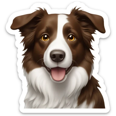 Brown and white border collie sticker