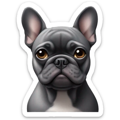 Black French bulldog X pug frowning face grey chin  sticker