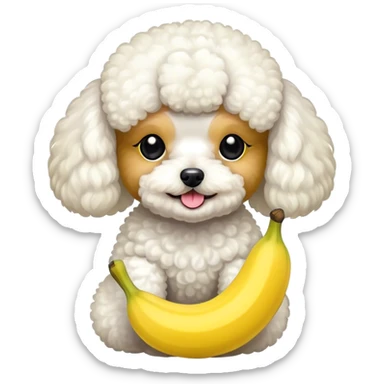 Toy poodle and banana sticker