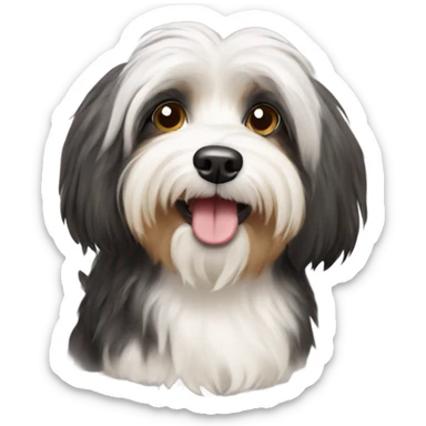 Havanese dog  sticker