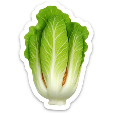 Napa cabbage in red sauce  sticker