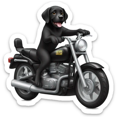 cool black lab riding motorbike sticker