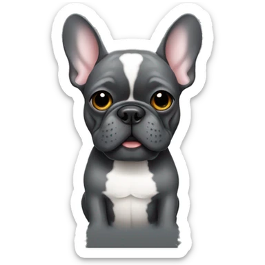 French bulldog full dark grey holding a beer sticker