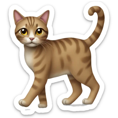 Walking desi style cat sticker