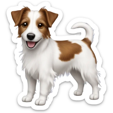long hair jack russell dog  sticker