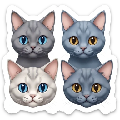 Three cat heads: British Shorthair Blue, with large cheeks, Maine Coon with fluffy fur and expressive eyes, Sphynx with smooth skin and prominent features, minimalistic, on a white background, no extra details. sticker