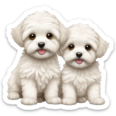 two maltipoo puppies sticker