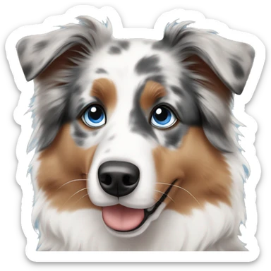 Australian shepherd with blue eyes sticker