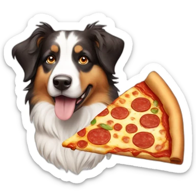 australian Shepard with a pizza sticker