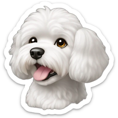 Bichon maltais casquette sticker
