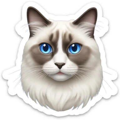 Realistic ragdoll cat with blue eyes female sticker