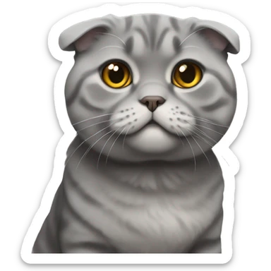 Gray scottish fold sticker