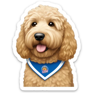 Goldendoodle with a Colombian jersey sticker