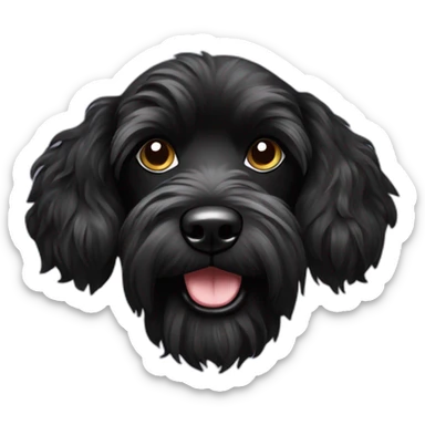 Black Caniche croisé yorshire sticker