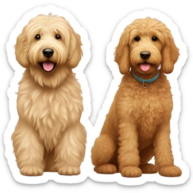 skinny golden labradoodle and big labradoodle playing sticker