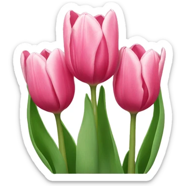 tulips sticker