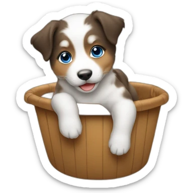 Asian baby riding on australian shepherd dog with blue eyes sticker