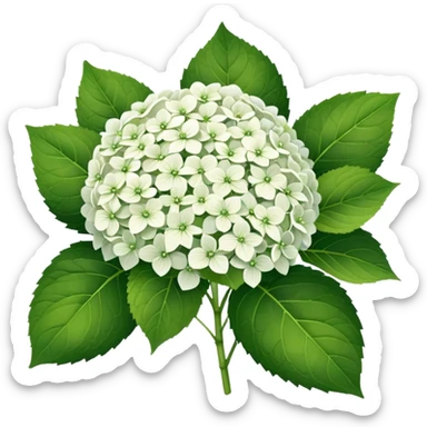 22 White Hortens sticker