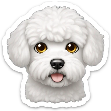 Bichon maltes con ojos negros sticker