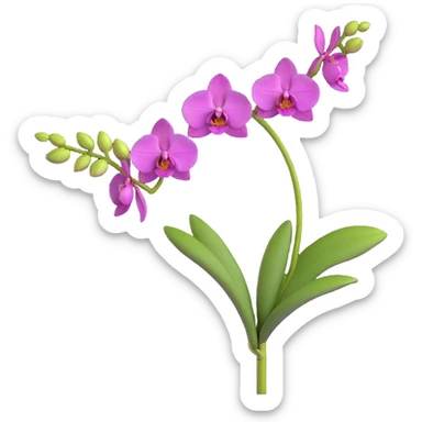 Realistic single orchid stem with multiple flowers arranged along one elegant arching stalk with green leaves sticker