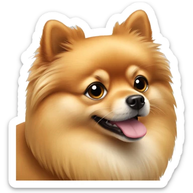 Pomeranian dog sticker