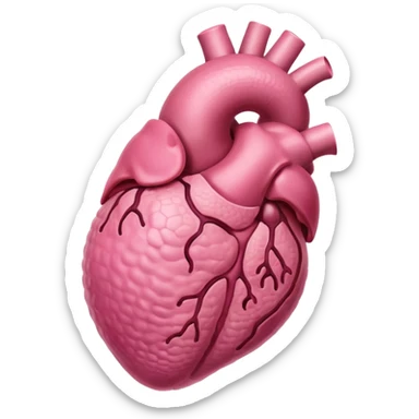 male reproductive organ sticker