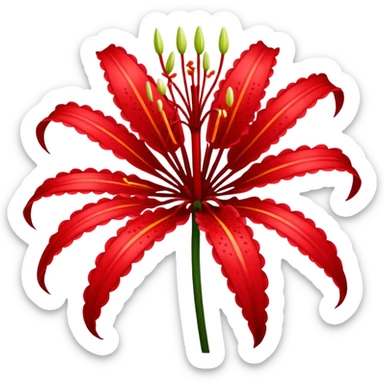 Lírio da aranha vermelho sticker