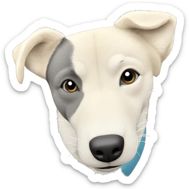 shiba inu gazing at viewer sticker