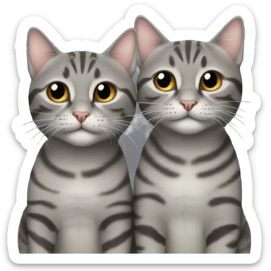 two gray tabby cats sticker